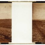 Cmentarz w Verdun, La Contemporaine Library
