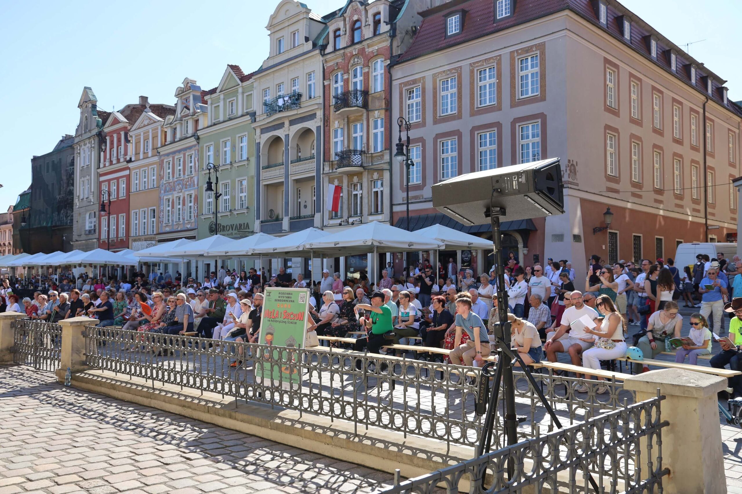 publiczność koncertu
