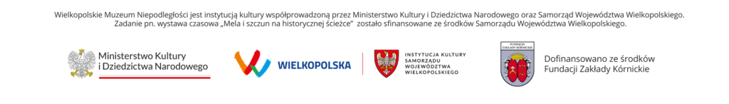 Belka informująca o instytucjach finansujących działanie WMN